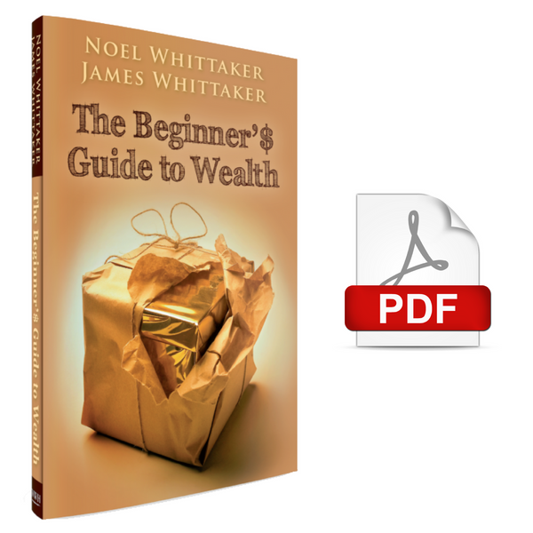 The Beginner's Guide to Wealth 5th Edition (2023/2024)